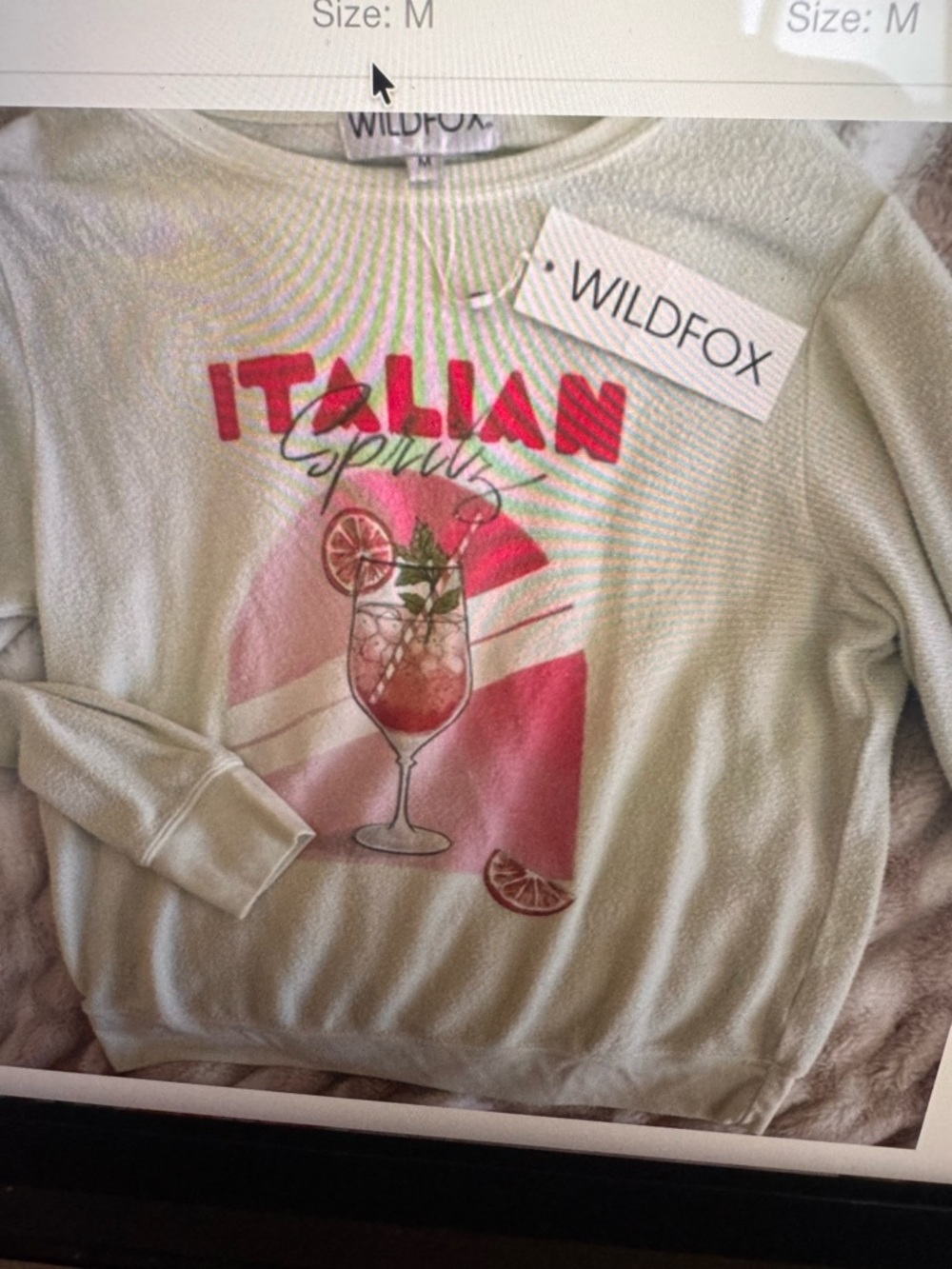 Wildfox Pale Mint Graphic Sweatshirt with Pink and Red Italian Spritz Motif